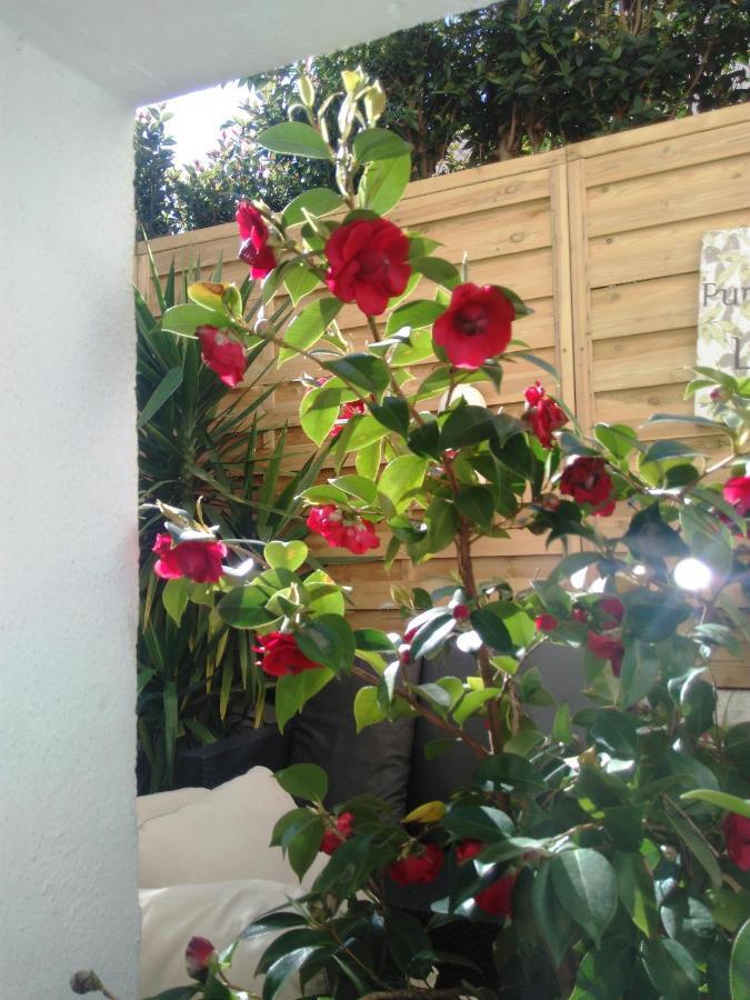 Glamorgan Antibes Ngoại thất bức ảnh